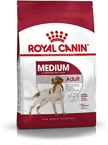 Royal Canin Medium Adult, 1er Pack (1 x 10 kg Beutel) - Hundefutter