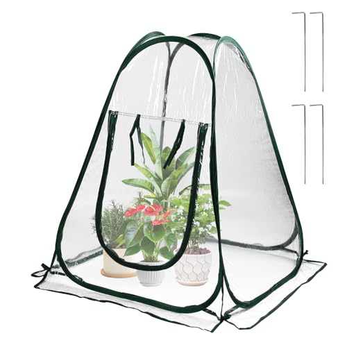 Gewächshaus Foliengewächshaus, 70x70x80 cm Pop Up Gewächshaus, Überwinterungszelt für Pflanzen, Geeignet für Gemüse, Blumen und Pilze, Pflanzenschutz Winter FrostschutzPop Up Greenhouse
