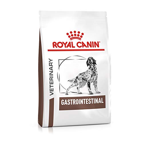 ROYAL CANIN Intestinal Gastro - Dry Dog Food 15kg