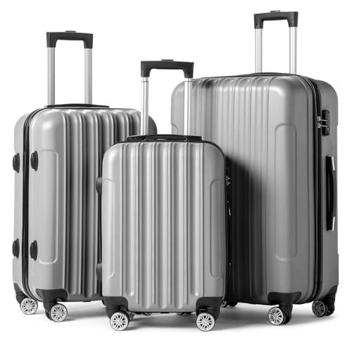 LEADZM 3er Kofferset Rollkoffer Hartschalen Reisekoffer Trolley Set Handgepäck 4 Rollen (Silbergrau)