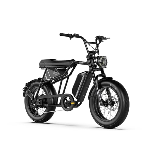 Aspadz Cavet Air Fat Tire Elektrofahrrad, 48V 250W Motor, 15,6Ah Akku, 7-Gang-Schaltung, Dual-Sitz, TFT-Display, E-Bike für Herren & Erwachsene (CAVET Air, Jet Black)