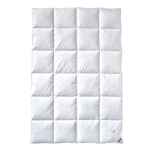 Billerbeck Daunendecke - E04 Gold Edition - Bettdecke für den Winter - 155 x 220 cm Decke mit echten Daunen - Wärmestufe Warm