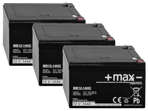 SXT 1000 Turbo kompatibler 36V Scooter Akku 3X 12V 14Ah Pb AGM