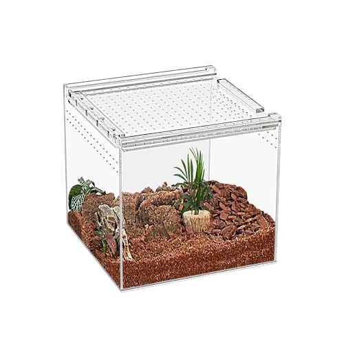 KAKOOTI Reptile Terrarium,17 x 17 x 15 cm Reptile Zuchtbox, magnetisches Acrylgehäuse, für Tarantula, Einsiedlerkrabbe, springende Spinne, Iguane, Leopard Gecko, Bartdrache, Insekt, Mantis, Skorpione.