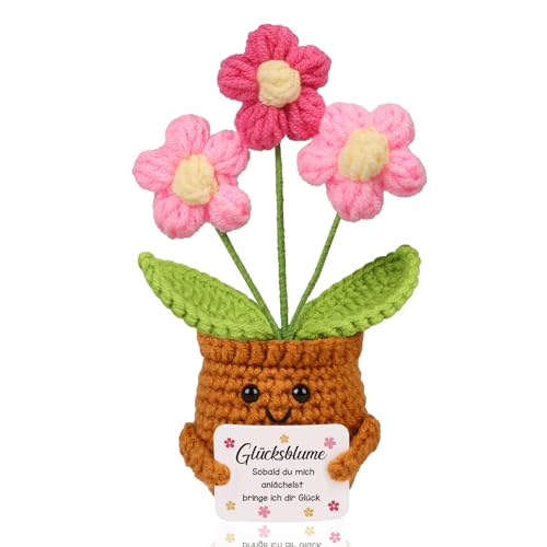 WenmthG Positive Geschenke Glücksbringer Gehäkelte Rosa Blumen für Frauen Männer Freunde Kollegen und Famili, Motivation Anti Stress Geschenke Pocket Hug Positive Kartoffel Deutsch Ersatz - 1 St