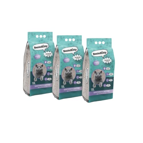 BentoKitty Katzenstreu (30L, 3er Pack) mit Lavendel Duft, Klumpend, weiß, feinkörnig, Klumpstreu aus Bentonite, für Sensitive Katzenpfoten geeignet