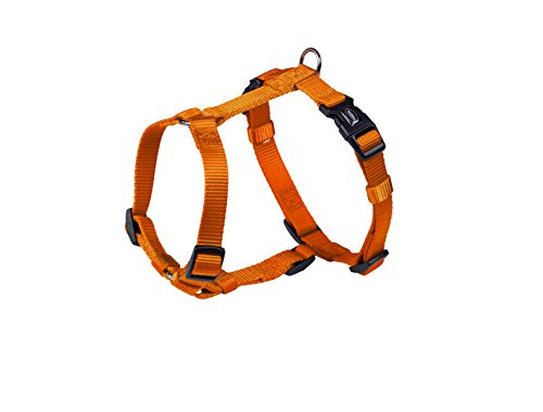 Nobby Geschirr Classic, orange Brust: 50/70 cm, B: 20 mm, 1 Stück