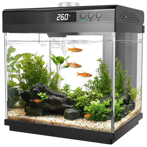 AQQA Aquarium-Starter-Set, 14 l, aus Glas, mit Filter und LED-Licht, 10 Farben, verstellbar, selbstreinigend, Nano, für Tropical Fish Betta