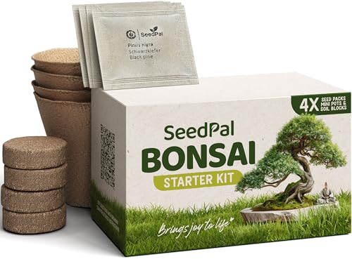 SeedPal Bonsai Set - Bonsai Starter Kit - Bonsai Anzuchtset 4 versch. Bonsai Baum Samen - Geschenkset/Pflanzset inkl. Anleitung & Zubehör