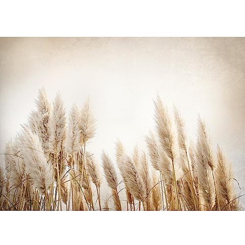 Runa Art Fototapete Boho Pampasgras 352 x 250 cm Vlies Tapeten XXL Moderne Wandtapete Wohnzimmer Schlafzimmer Beige 9583011a