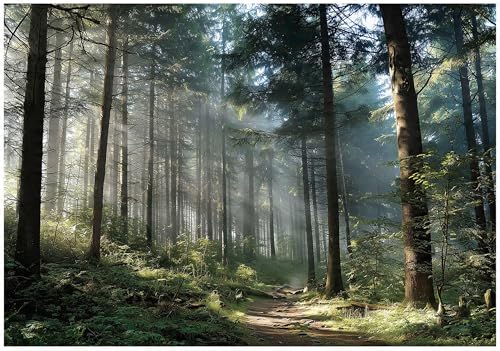 WallArena - Vlies Fototapete Wald 350x250 cm - Fototapeten - Tapeten - für Wohnzimmer Schlafzimmer - Vliestapete Wandtapete Tapete 3D Effekt- inkl. Kleister - Landschaft Natur Grün