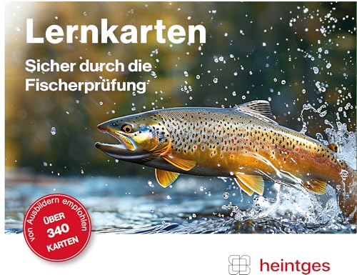 Lernkarten: Sicher durch die Fischerprüfung