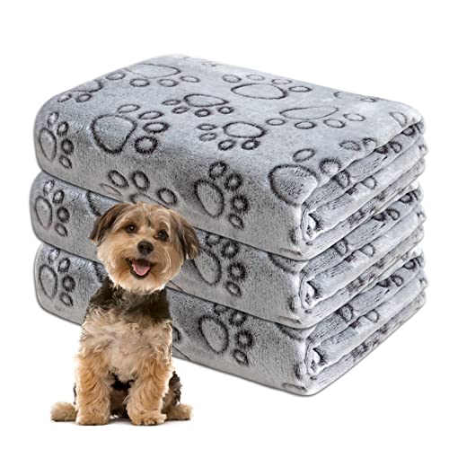 Gorgelly 1 Pack 3 Hundedecke, Weiche Haustierdecke Waschbar, Kuscheldecke Flauschig für Kleine Mittlere Hunde Katzen, Sofaschoner für Hunde, Hundedecke für Unterwegs, 60x50 cm