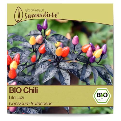 Samenliebe BIO Chili Samen Lila Luzi 10 Samen samenfestes Gemüse Saatgut für Gewächshaus Freiland und Balkon BIO Gemüsesamen