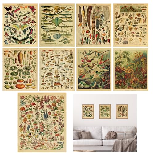 TNSLAND 9 Stück Vintage botanisches Plakat Schmetterlings Poster Blütendiagramm Plakat Identifikations-Bildungspaket Home Wohnzimmer Schlafzimmer Wandkunst Dekor Ungerahmt 20 x 25 cm