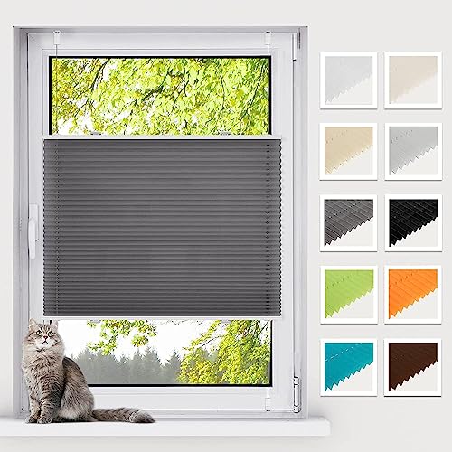 BelleMax Plissee ohne Bohren Klemmfix, Anthrazit 40x130cm(BxH), Easyfix lichtdurchlässig Sichtschutz und Sonnenschutz, Jalousie Plisseerollo mit Klemmträger, Faltrollo für Fenster & Tür