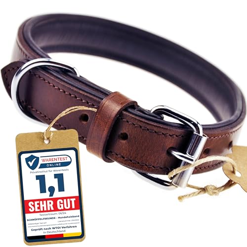 Schnüffelfreunde Halsband für Hunde aus Leder, Hundehalsband für den großen, mittleren und kleinen Hund, Lederhalsband gepolstert, robust (L - 36-45cm, Braun)