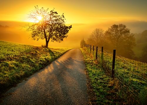 Ravensburger Puzzle 1000 Teile Landschaft in Morgensonne - Farbenfrohes Puzzle für Erwachsene und Kindern in bewährter Qualität