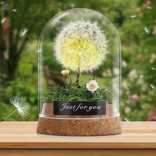 Pavlleen Wunschblume -Echte Pusteblume im Glass, Deko Geschenke im Glas, Blumen Geschenk, für Frauen, Freundin, Mädchen,Ewig Geburtstagsgeschenk,Valentinstag,Hochzeit Geschenkidee