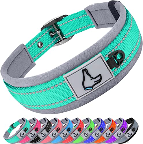 Joytale Halsband Hund, Weich Hundehalsband Gepolstert Neopren Hunde Halsband für Mittelgroße Hunde, Nylon Reflektierend Breit Halsbänder, Türkis