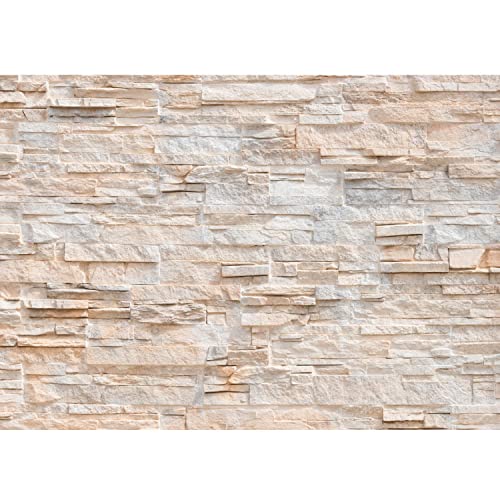 Runa Art Fototapeten 396 x 280 cm Steinwand 3D Effekt - Vlies Wanddekoration Wohnzimmer Schlafzimmer - Deutsche Manufaktur - Beige 9082012a