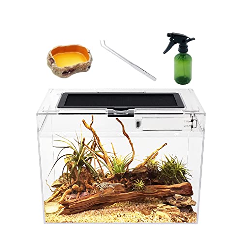 Reptile Growth Mini Terrarium Komplettset, 12