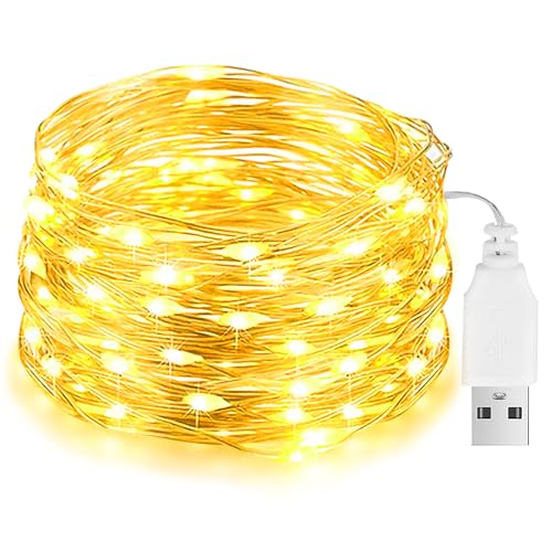 Led Lichterkette mit USB, 10M 100LED Wasserdicht Kupferdraht lichterkette mit Stecker, Draht Micro Lichterketten für DIY Weihnachten, Garten, Party, Hochzeit Deko (Warmweiß)