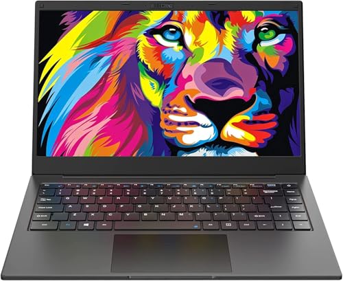 AWOW Notebook mit Intel Core i5 Prozessor (bis zu 4,1 GHz), 8 GB DDR4-RAM, 256 GB SSD, 14 Zoll FHD-Display, Windows 10 Home, WiFi, Bluetooth 5.1, englische Tastatur