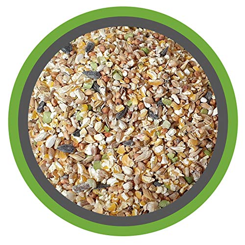 KÖRNER-VITAL 30 kg - Premium Körner Hühnerfutter und Wachtelfutter mit gebrochenem Mais, Weizen, Milokorn, Erbsen, Gerste, Sonnenblumenkernen, Kardisaat, Muschelgrit