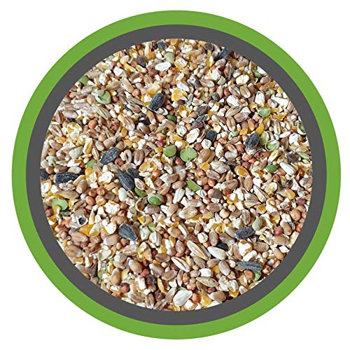 Meine Hennen KÖRNER-VITAL EXZELLENT 30 kg - Premium Körnermischung für Hühner und Wachteln mit Muschelschalen, Buchweizen und Hirse - Alleinfuttermittel