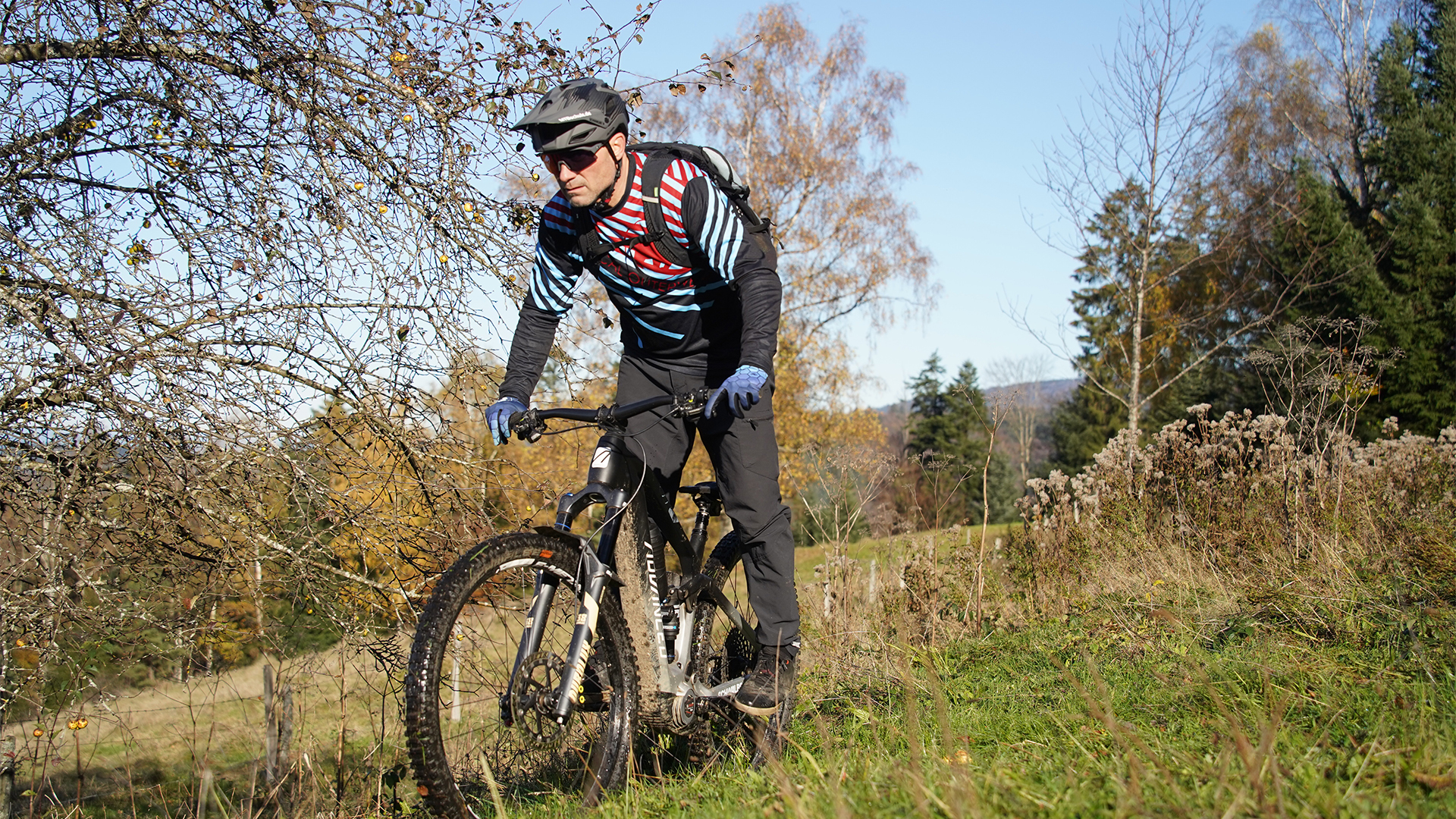 Mountainbike-Grundkurs Freiburg