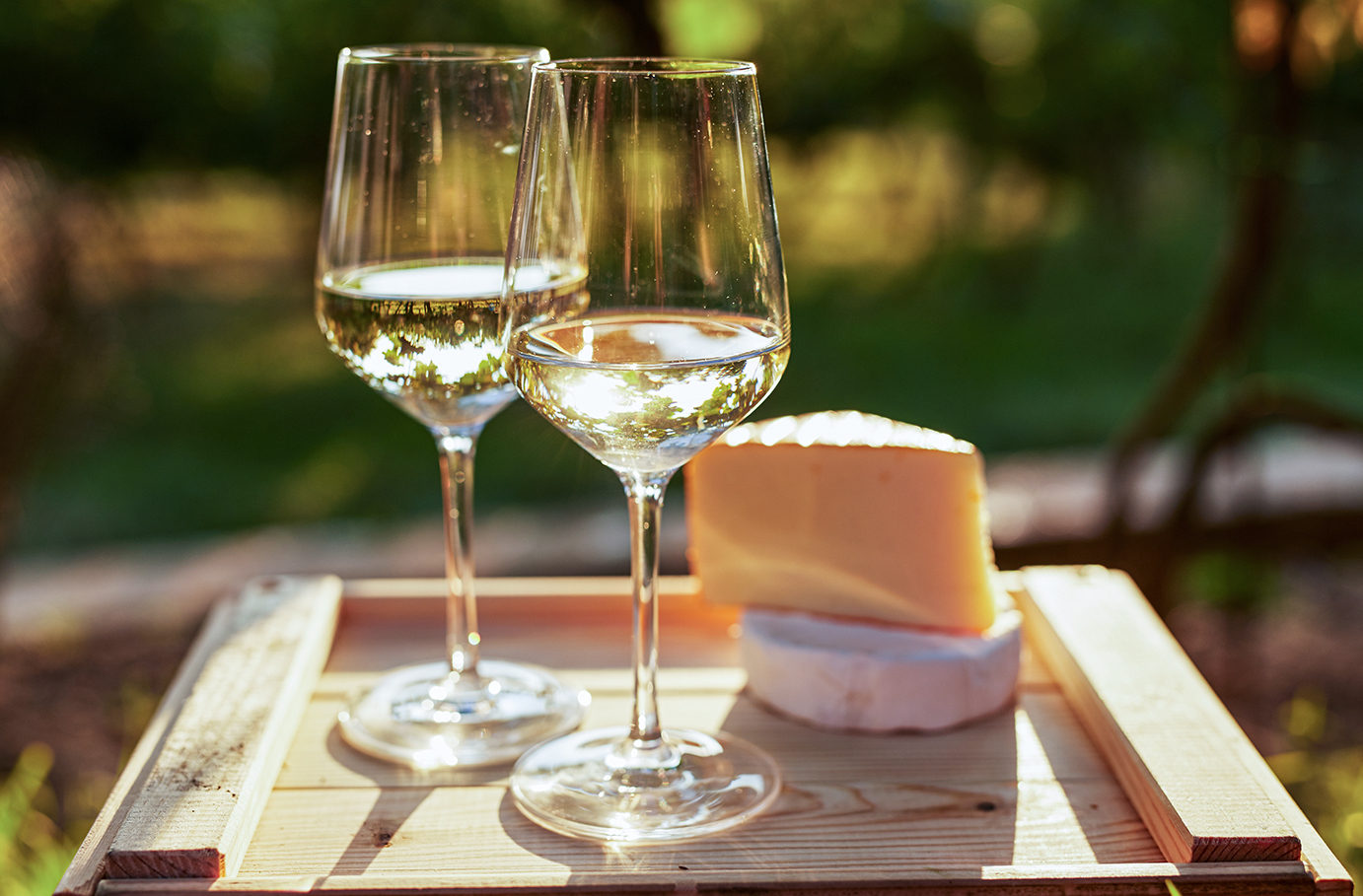 Wein & Käse Seminar Schriesheim