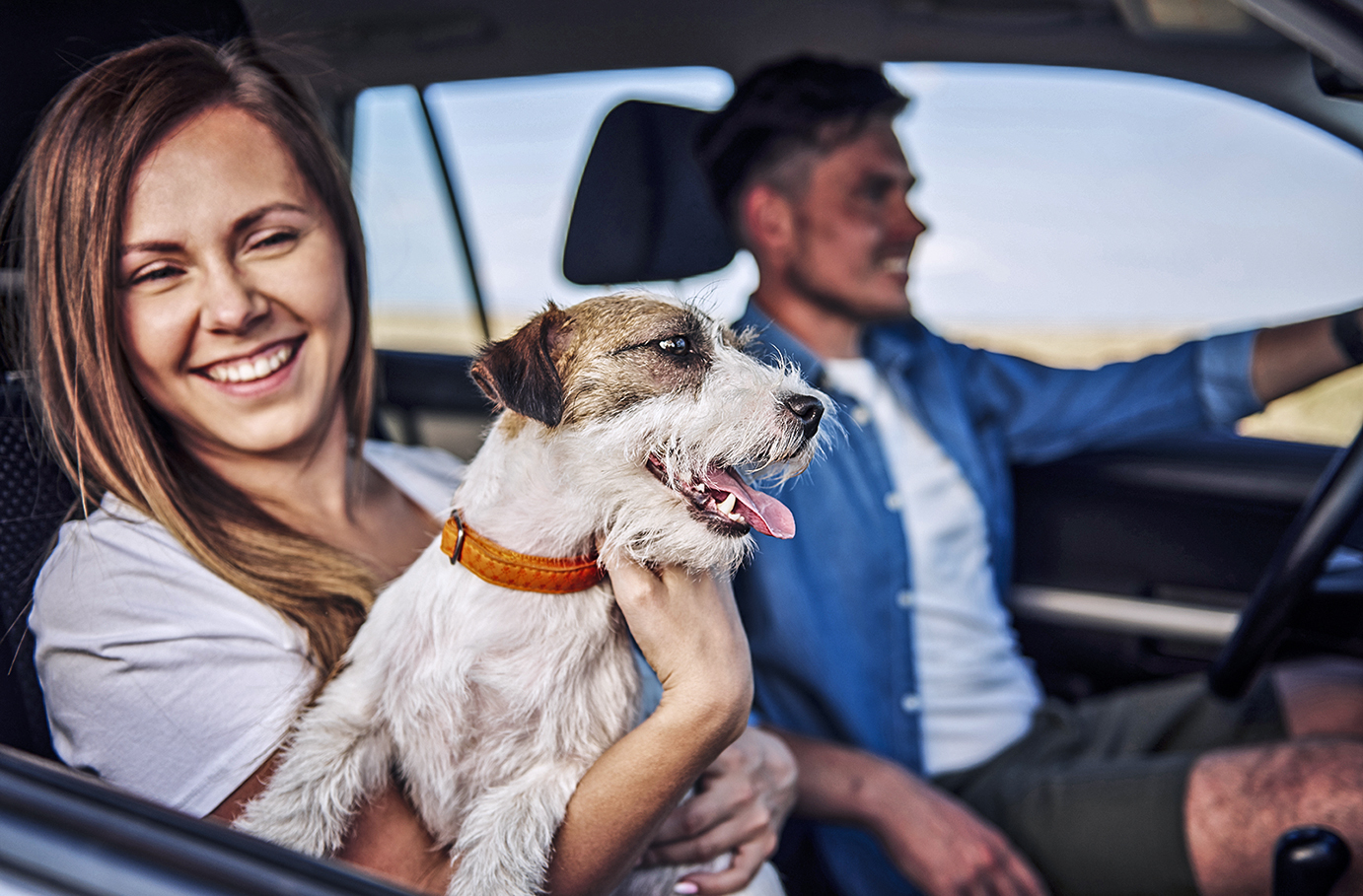 Urlaub mit Hund Alpbachtal für 2 (2 Nächte)