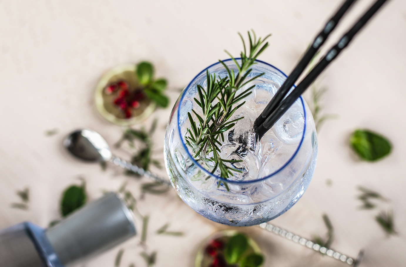 Gin Tasting Karlsruhe