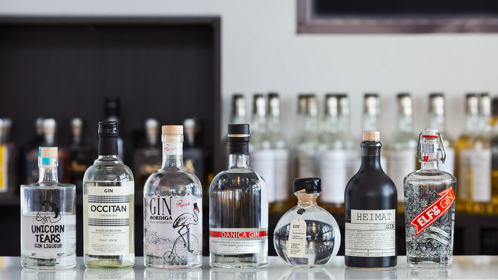 Gin Seminar Düsseldorf (für Einsteiger)