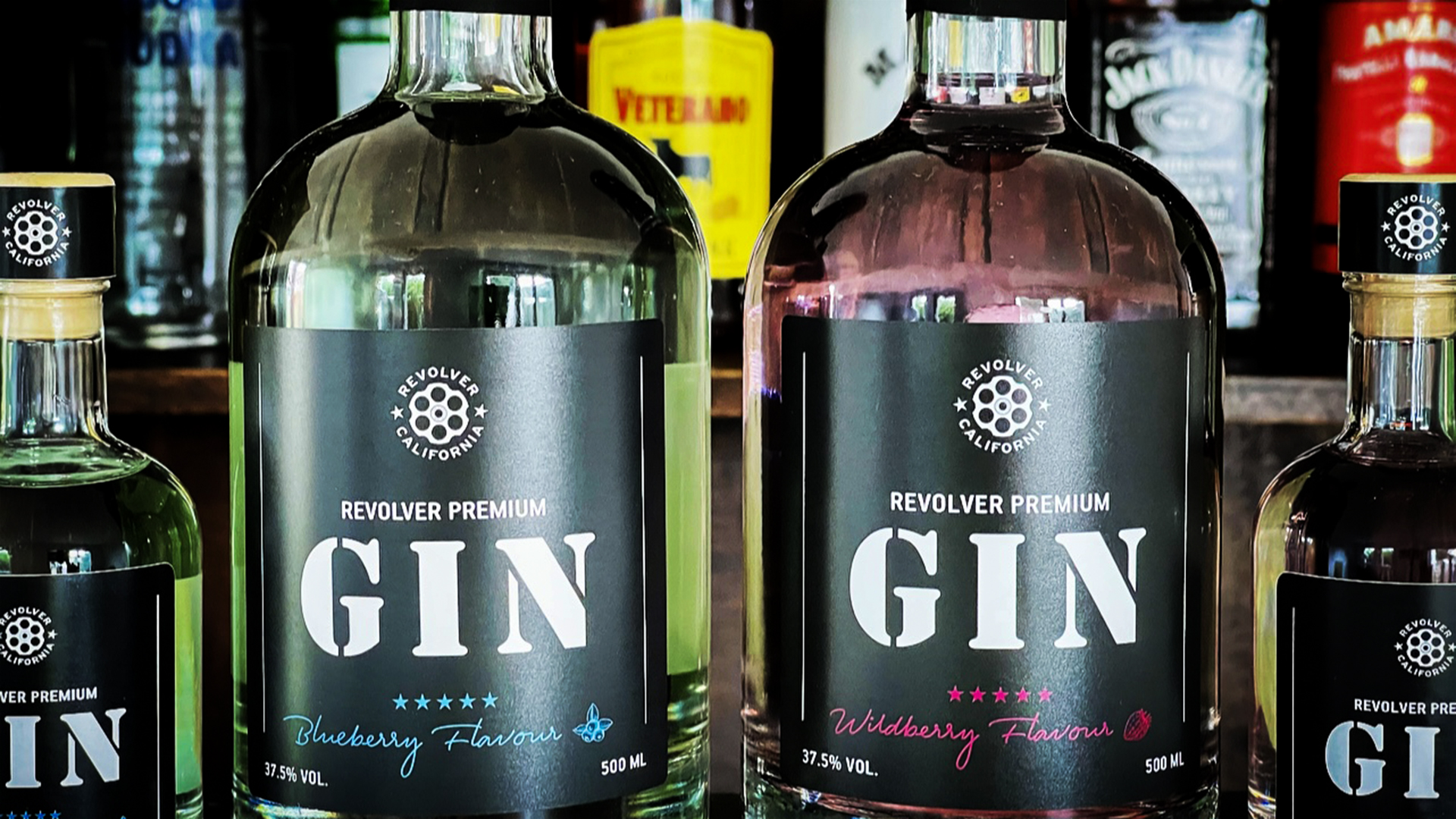 Gin-Tasting & Dinner Bad Homburg