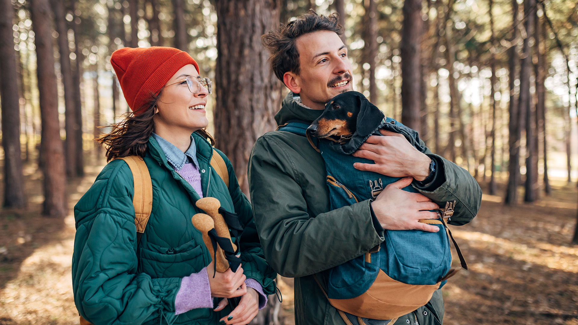 Urlaub mit Hund im Harz für 2 (1 Nacht)