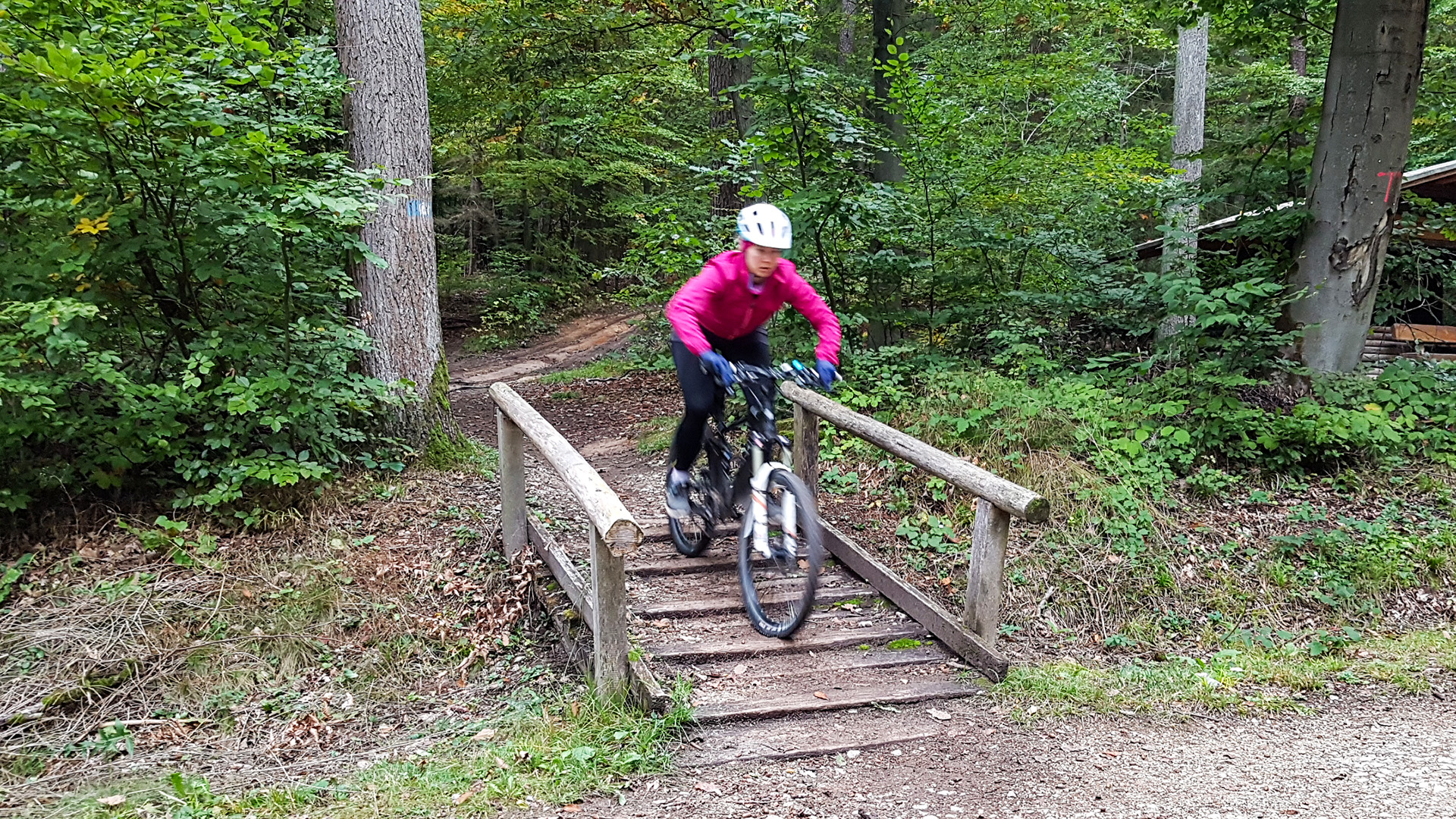 MTB Personal Training Erlangen