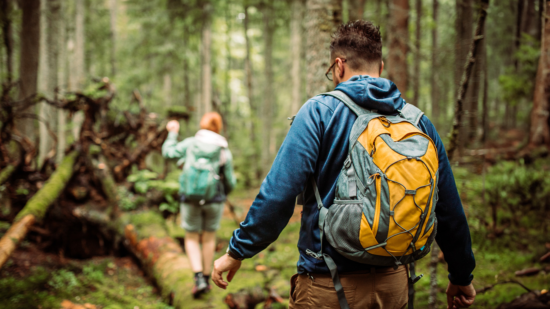 Survival Kurs Waldenbuch (9 Std.)