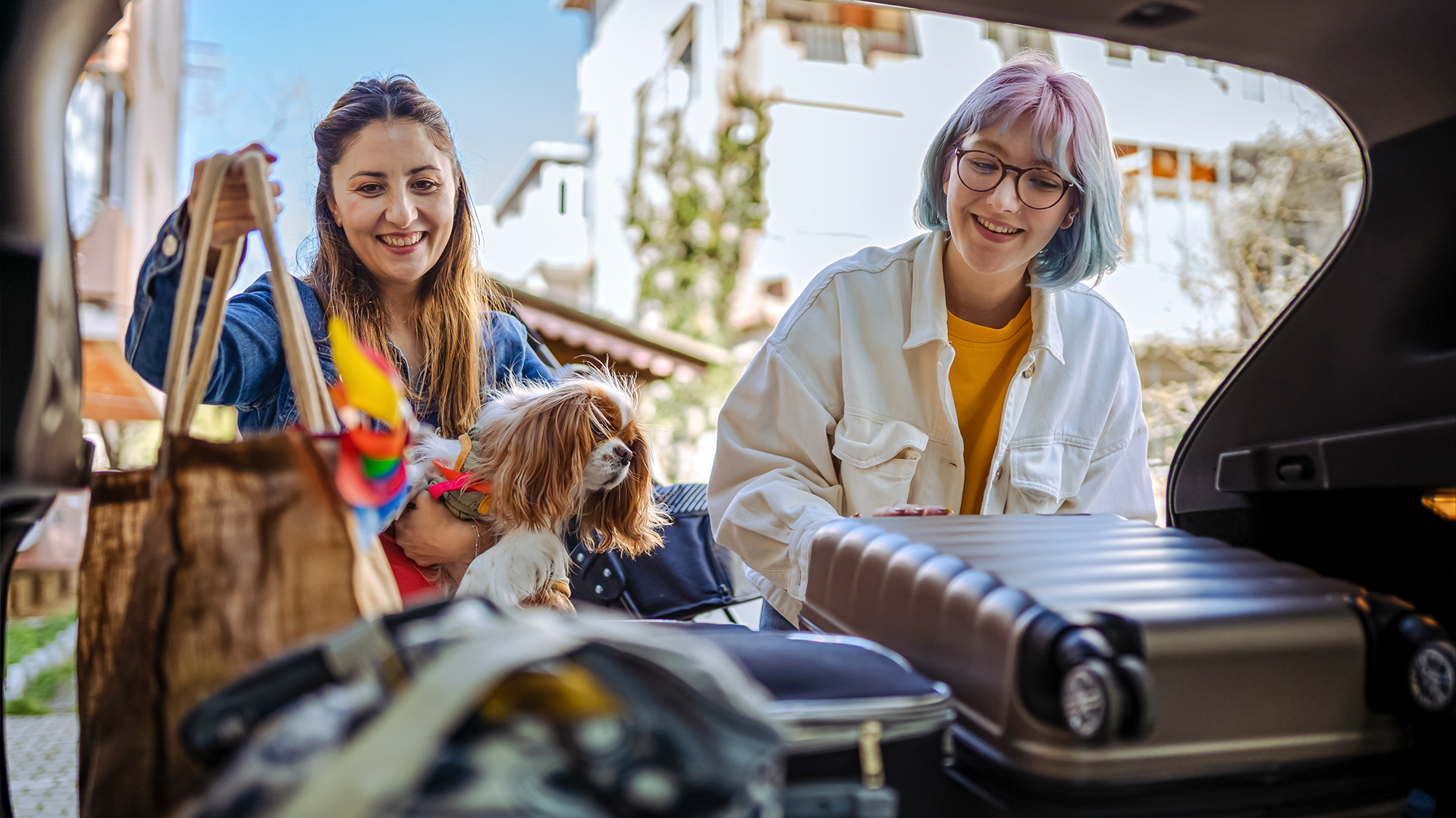 Urlaub mit Hund am Rennsteig für 2 (2 Nächte)