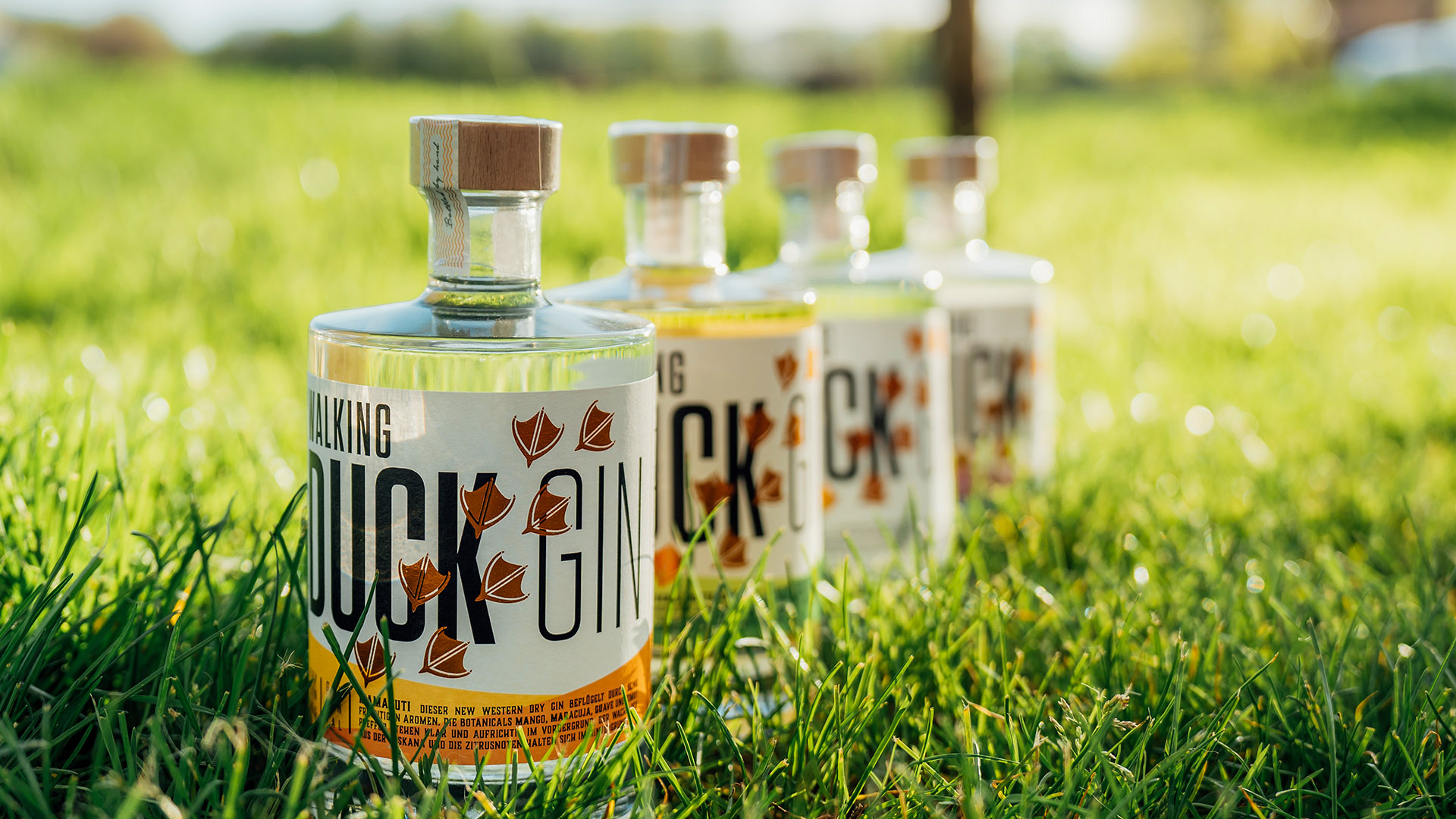 Gin Brennkurs Wallhausen mit 5-Gänge-Menü