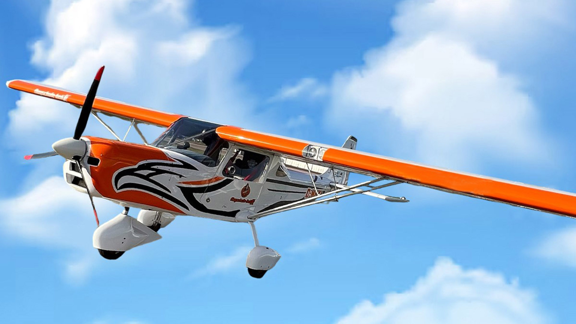 Rundflug zur Ostsee Magdeburg (mit Essen - 4 Std.)