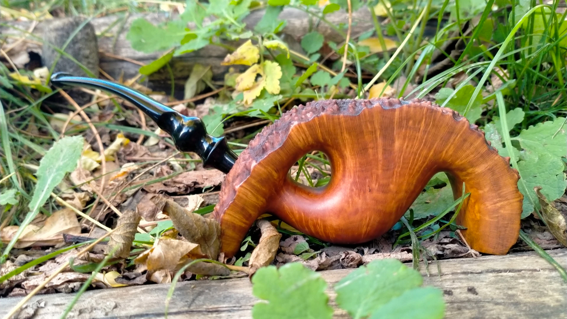 Pfeifen bauen Wintzenbach