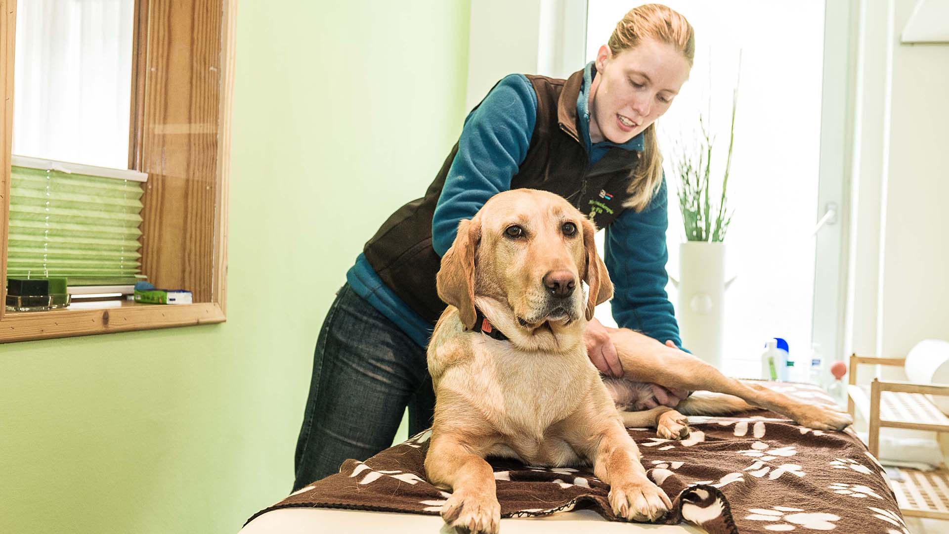 Urlaub mit Hund Bad Gastein