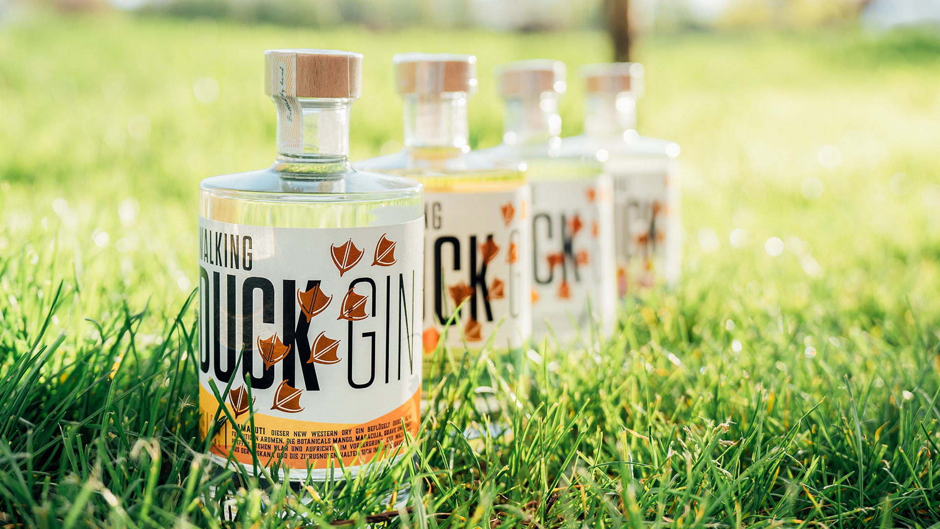 Gin Brennkurs mit 5-Gänge-Menü Bad Kreuznach