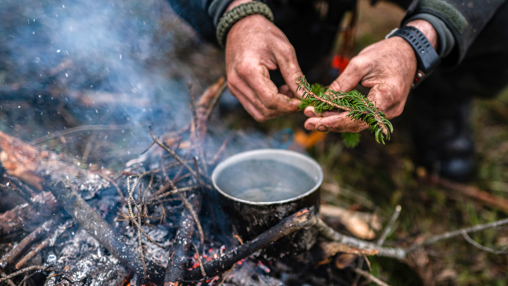 Survival Kurs Dettmannsdorf (Nahrung und Wasser)