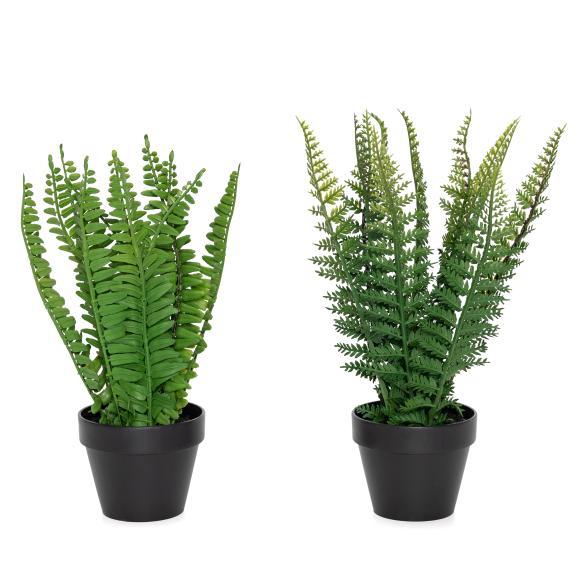 2er Set Farn grün im Topf