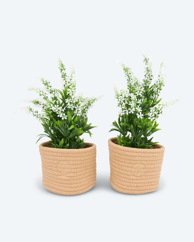 Kunstlavendel im Deko-Korb, 4tlg.