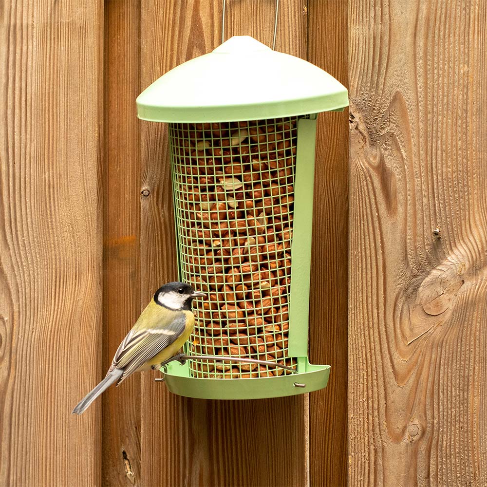 Erdnußsäule Hios minzgrün | CJ Wildlife