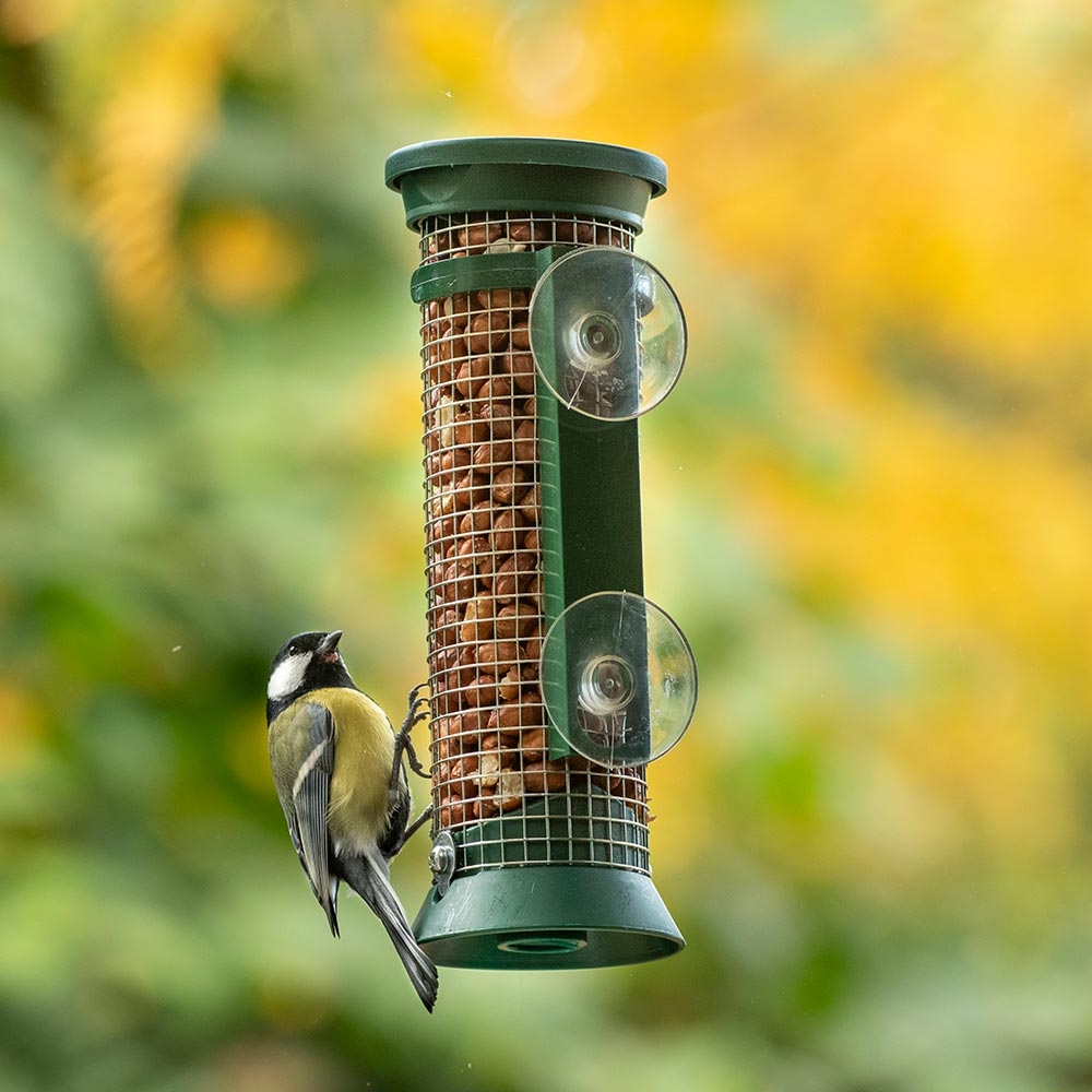 Fenster-Erdnuss-Futterautomat In Grün | CJ Wildlife